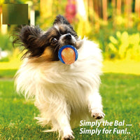 HKM-443347 Dog Bite Rugby Sound Toy