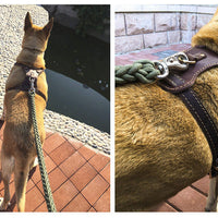 HKM-443603 Double Layer Thickened Cowhide Harness for Medium to Large Dogs 85-90 cm Chest Circumference