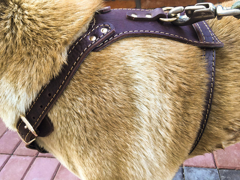 HKM-443603 Double Layer Thickened Cowhide Harness for Medium to Large Dogs 85-90 cm Chest Circumference