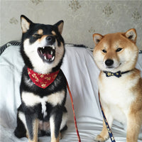 HKM-443603 Leather Pet Collar and Leash Set - Blue Triangle Scarf or Bow Design - Adjustable Sizes S, M, L