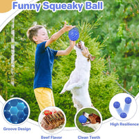 HKM-443923 Indestructible Squeaky Dog Ball - Interactive Chew Toy for Aggressive Chewers, Dental Care and Outdoor Play
