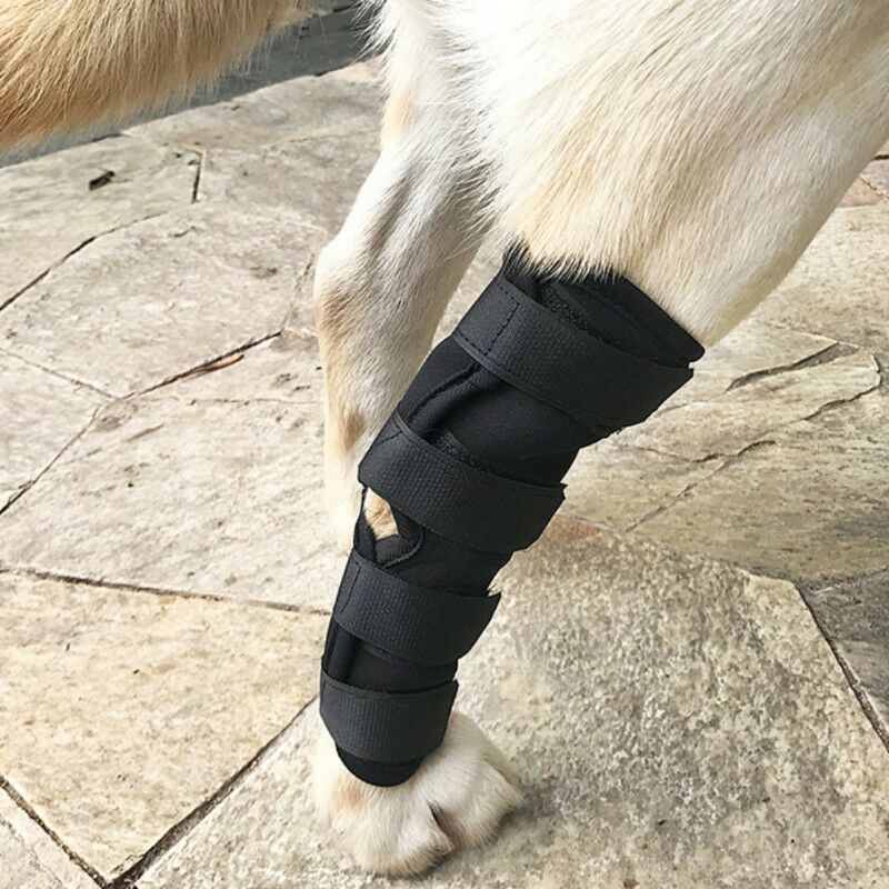 HKM-444755 Dog Leg Support Sheath for Injury Recovery and Wound Protection