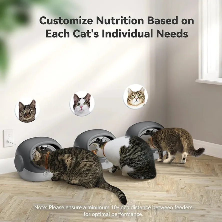 KTX-445651 Smart Automatic Cat Feeder with Microchip and Collar Sensor for Wet and Dry Food Dispenser