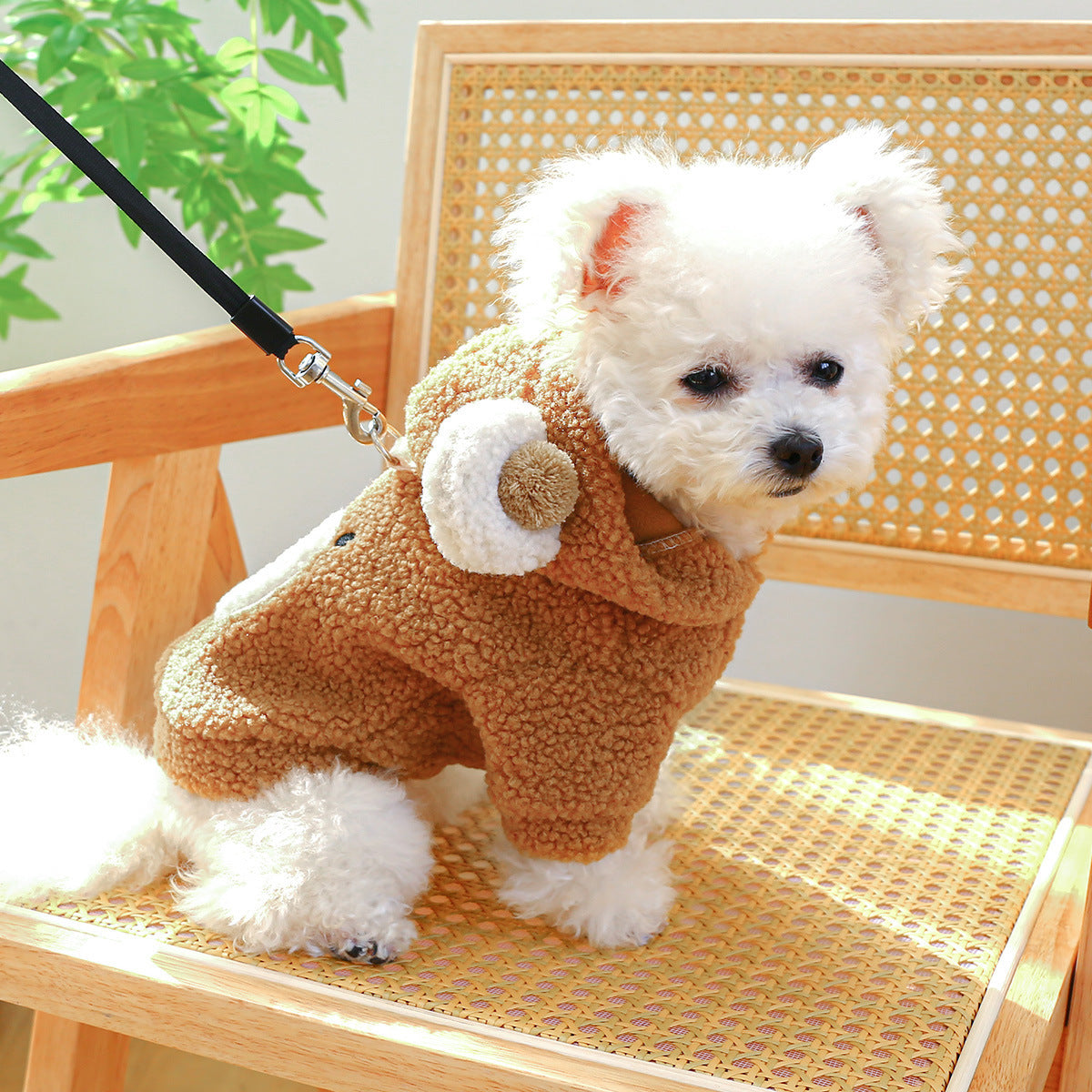 HKM-445715 Cozy Lambswool Round Bear Hoodie for Pets - XS to XL Sizes Available