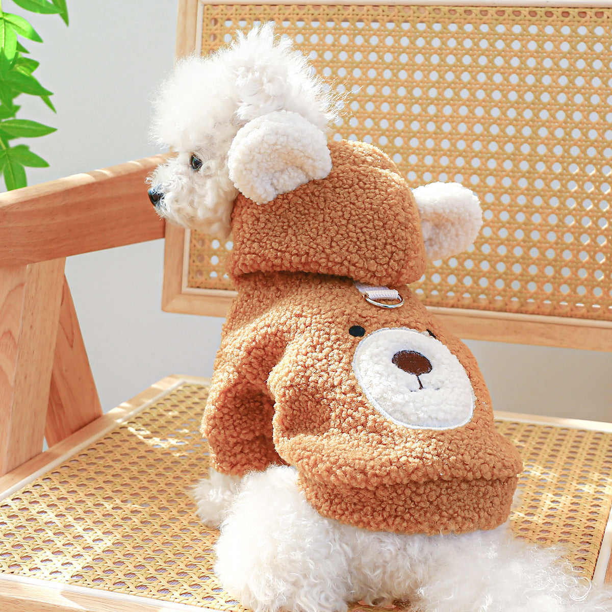 HKM-445715 Cozy Lambswool Round Bear Hoodie for Pets - XS to XL Sizes Available