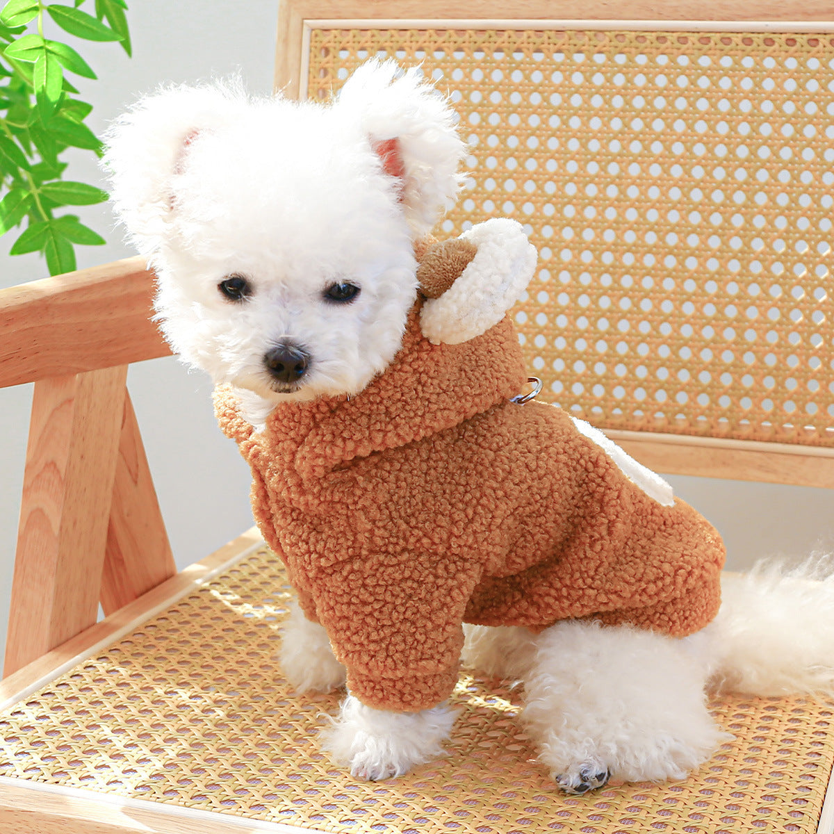 HKM-445715 Cozy Lambswool Round Bear Hoodie for Pets - XS to XL Sizes Available