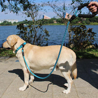 HKM-447187 Retractable Explosion-Proof Pet Leash for Small and Large Dogs, 1.6m Length, Available in Red, Blue, and Black