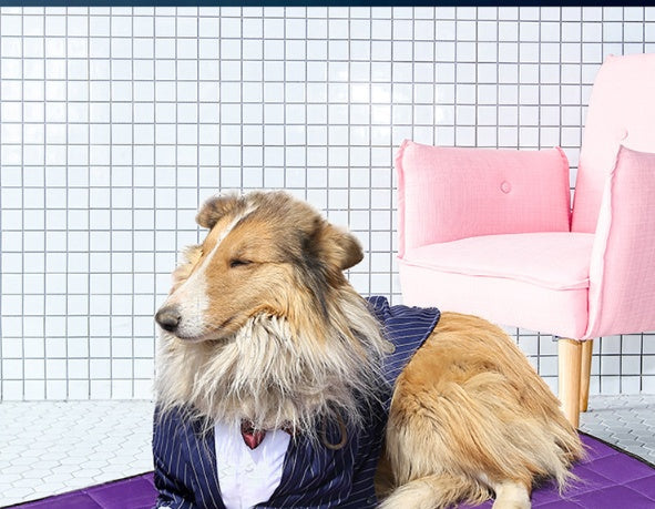 HKM-447955 Large Dog Bow Tie Suit in Navy Blue for Golden Retrievers - Casual Style Available in Sizes 3XL to 7XL