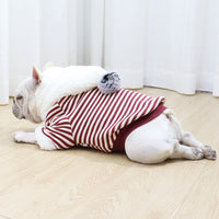 HKM-449491 Cozy Cotton Dog Hoodie in Red and Gray Stripes - Ideal Winter Wear for Pets