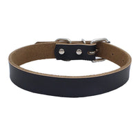 HKM-450515 Pure Cowhide Leather Pet Collar in Various Colors and Sizes