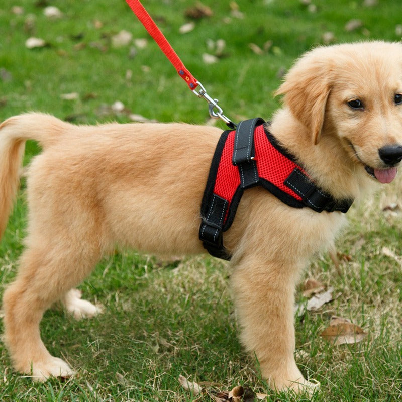 HKM-450835 Breathable Mesh Dog Saddle Chest Harness in Various Colors for Small to Large Dogs