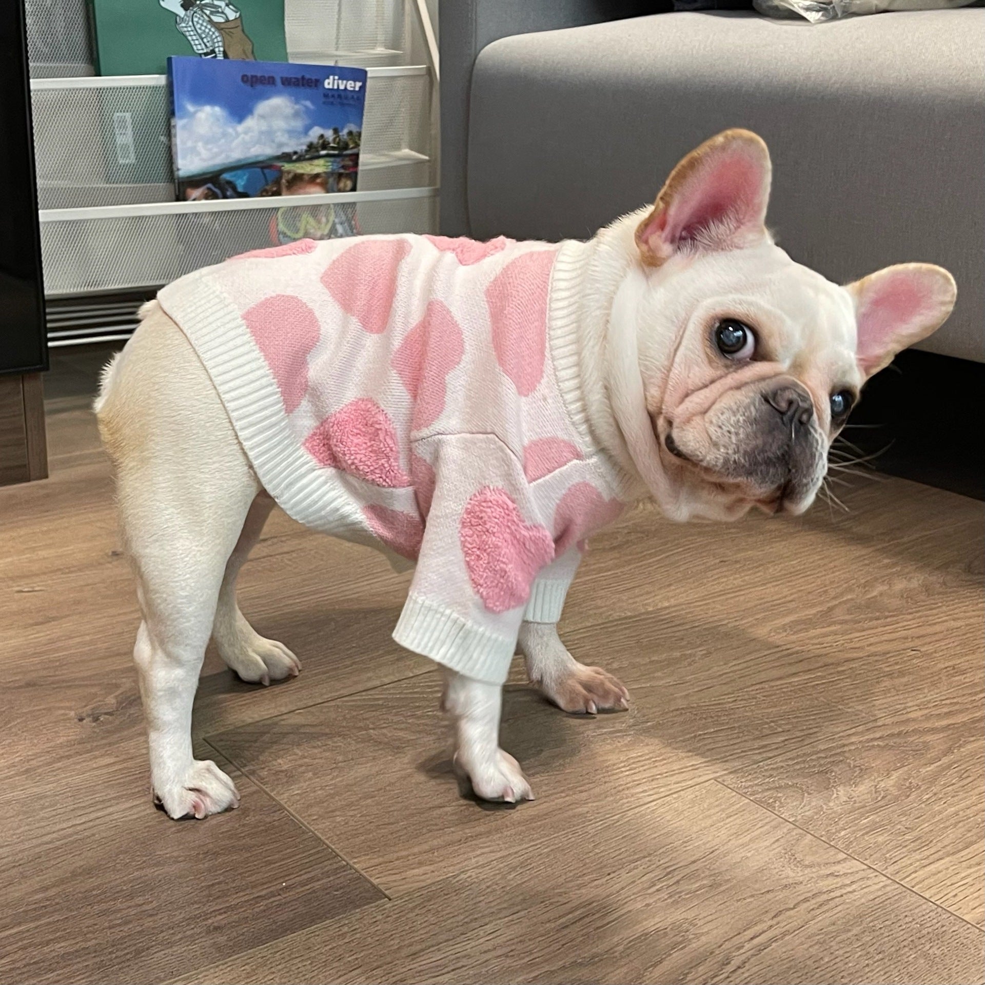 HKM-450899 Schnauzer Puppy Winter Sweater for Dogs and Cats - Wool Material, Sizes S to XXL