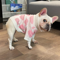 HKM-450899 Schnauzer Puppy Winter Sweater for Dogs and Cats - Wool Material, Sizes S to XXL