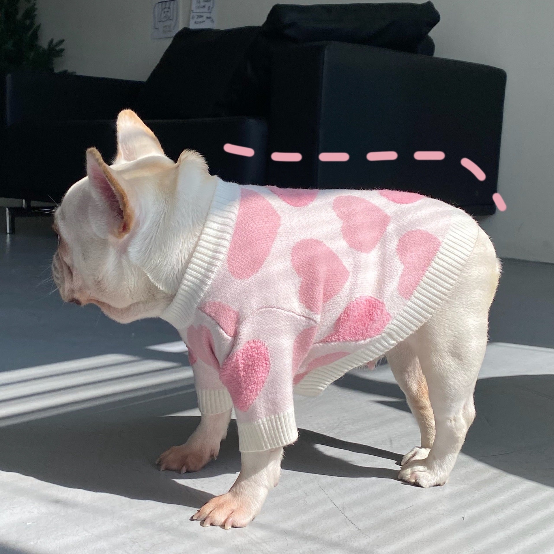HKM-450899 Schnauzer Puppy Winter Sweater for Dogs and Cats - Wool Material, Sizes S to XXL