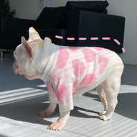 HKM-450899 Schnauzer Puppy Winter Sweater for Dogs and Cats - Wool Material, Sizes S to XXL