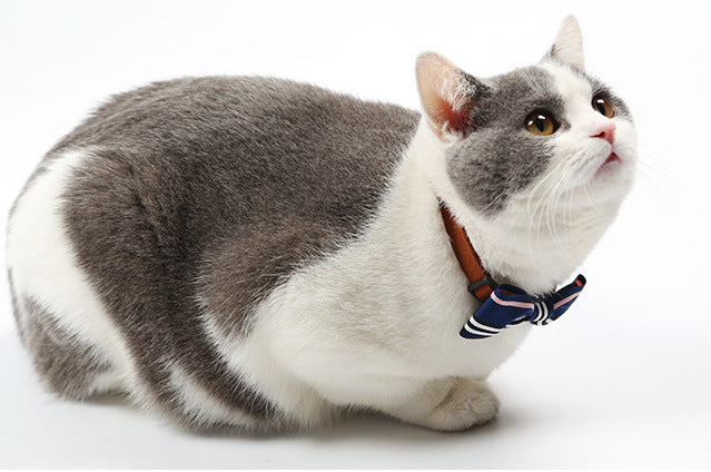HKM-451795 Stylish Pet Tie for Formal Occasions and Special Events