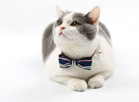 HKM-451795 Stylish Pet Tie for Formal Occasions and Special Events