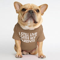 HKM-452563 Fadou Cotton Round Neck Turtleneck T-Shirt for Pets in Various Colors