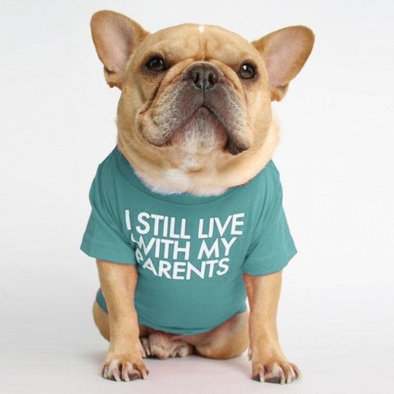 HKM-452563 Fadou Cotton Round Neck Turtleneck T-Shirt for Pets in Various Colors