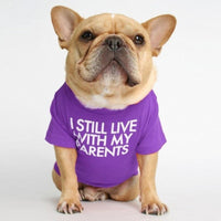 HKM-452563 Fadou Cotton Round Neck Turtleneck T-Shirt for Pets in Various Colors