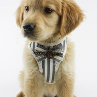HKM-455443 Breathable Mesh Pet Chest Harness with Adjustable Traction Belt