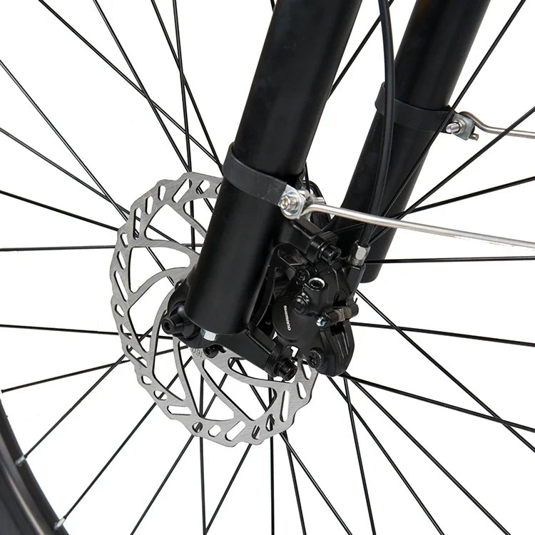 KTX-455571 Long Range 48V 19.2AH Electric City Bike with Hydraulic Disc Brakes and 9-Speed Gears