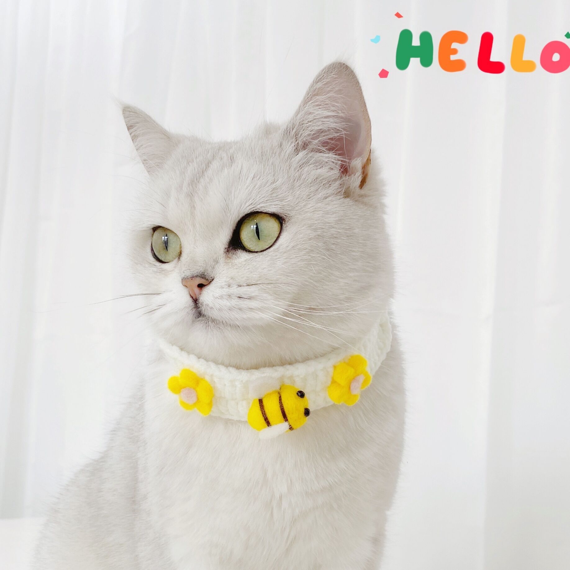 HKM-455955 Pet Knitted Wool Felt Daisy Flower Bee Pumpkin Fruit Strap Cute Cat Collar Foreign Trade Customization