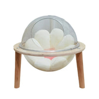 HKM-456531 Transparent Space Capsule Cat Nest with 30cm Inner Diameter