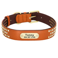 HKM-458259 Custom Dog Collar with Adjustable Sizing for Labrador, Golden Retriever, and Shepherd Types