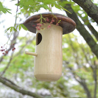 HKM-459795 Mushroom-Shaped Wooden Hummingbird Feeder Pendant in Beech Wood
