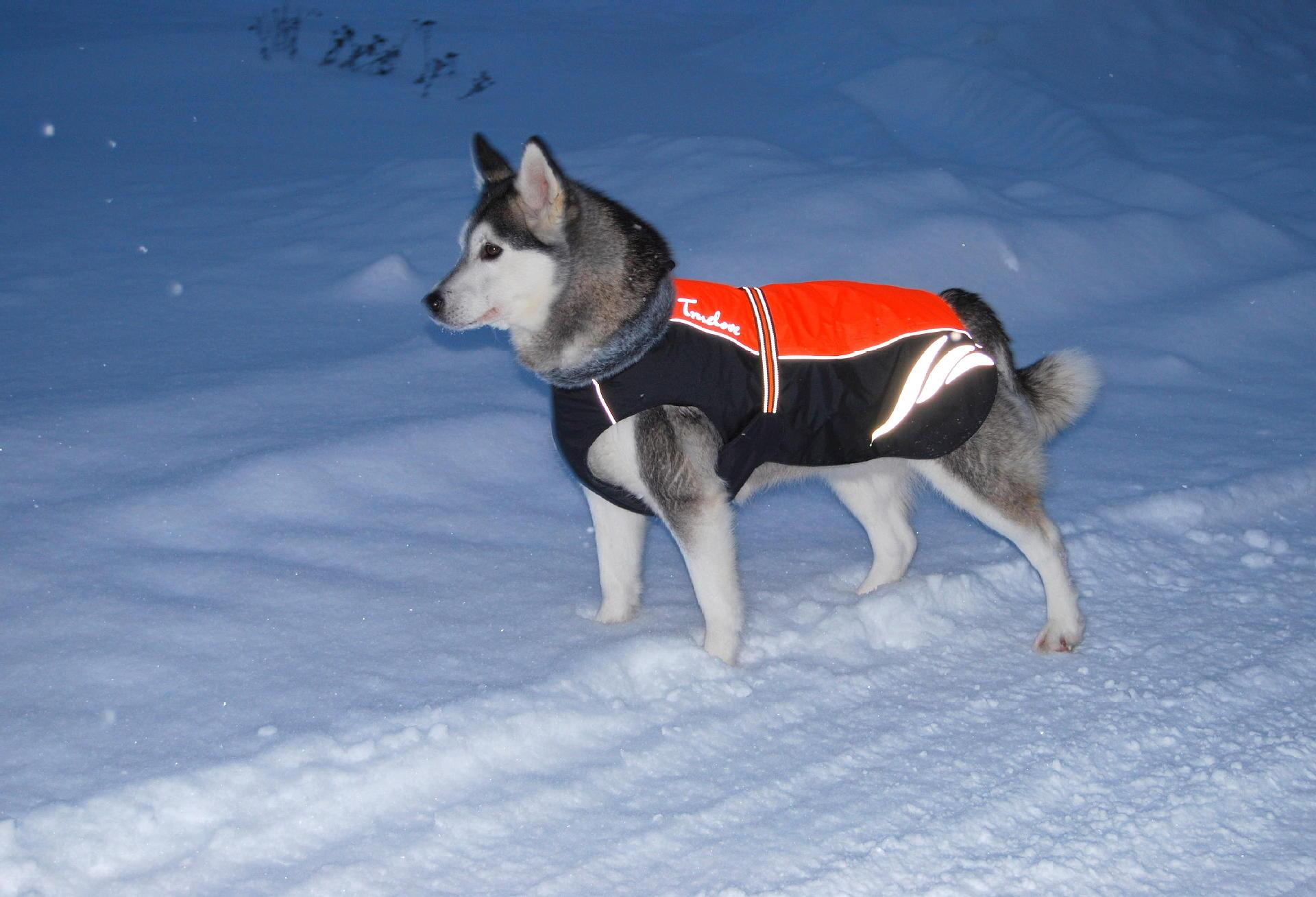 HKM-461267 Winter Warm Pellet Down Jacket for Dogs in Black, Green, and Orange Sizes 24cm to 70cm