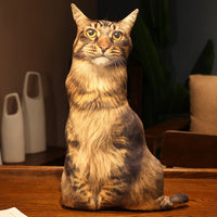 HKM-462291 Cute Kitty Plush Pillow Toy, 50cm Height, Various Styles for Ages 15-35