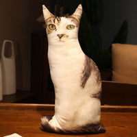 HKM-462291 Cute Kitty Plush Pillow Toy, 50cm Height, Various Styles for Ages 15-35