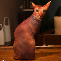 HKM-462291 Cute Kitty Plush Pillow Toy, 50cm Height, Various Styles for Ages 15-35