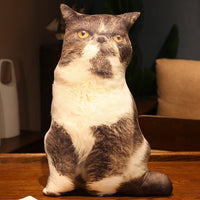 HKM-462291 Cute Kitty Plush Pillow Toy, 50cm Height, Various Styles for Ages 15-35