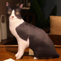 HKM-462291 Cute Kitty Plush Pillow Toy, 50cm Height, Various Styles for Ages 15-35