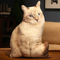 HKM-462291 Cute Kitty Plush Pillow Toy, 50cm Height, Various Styles for Ages 15-35
