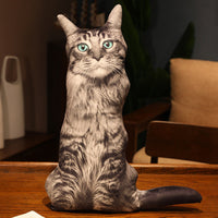 HKM-462291 Cute Kitty Plush Pillow Toy, 50cm Height, Various Styles for Ages 15-35