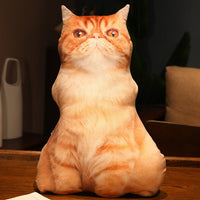 HKM-462291 Cute Kitty Plush Pillow Toy, 50cm Height, Various Styles for Ages 15-35