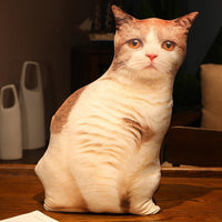 HKM-462291 Cute Kitty Plush Pillow Toy, 50cm Height, Various Styles for Ages 15-35