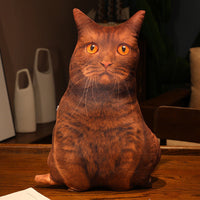 HKM-462291 Cute Kitty Plush Pillow Toy, 50cm Height, Various Styles for Ages 15-35