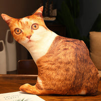 HKM-462291 Cute Kitty Plush Pillow Toy, 50cm Height, Various Styles for Ages 15-35