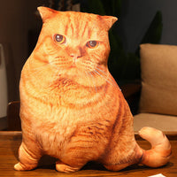 HKM-462291 Cute Kitty Plush Pillow Toy, 50cm Height, Various Styles for Ages 15-35