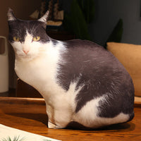 HKM-462291 Cute Kitty Plush Pillow Toy, 50cm Height, Various Styles for Ages 15-35