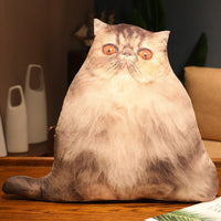 HKM-462291 Cute Kitty Plush Pillow Toy, 50cm Height, Various Styles for Ages 15-35