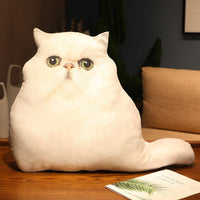 HKM-462291 Cute Kitty Plush Pillow Toy, 50cm Height, Various Styles for Ages 15-35