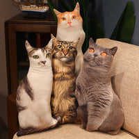 HKM-462291 Cute Kitty Plush Pillow Toy, 50cm Height, Various Styles for Ages 15-35
