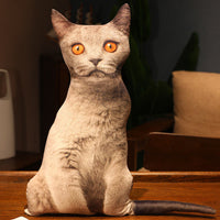 HKM-462291 Cute Kitty Plush Pillow Toy, 50cm Height, Various Styles for Ages 15-35