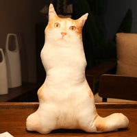 HKM-462291 Cute Kitty Plush Pillow Toy, 50cm Height, Various Styles for Ages 15-35