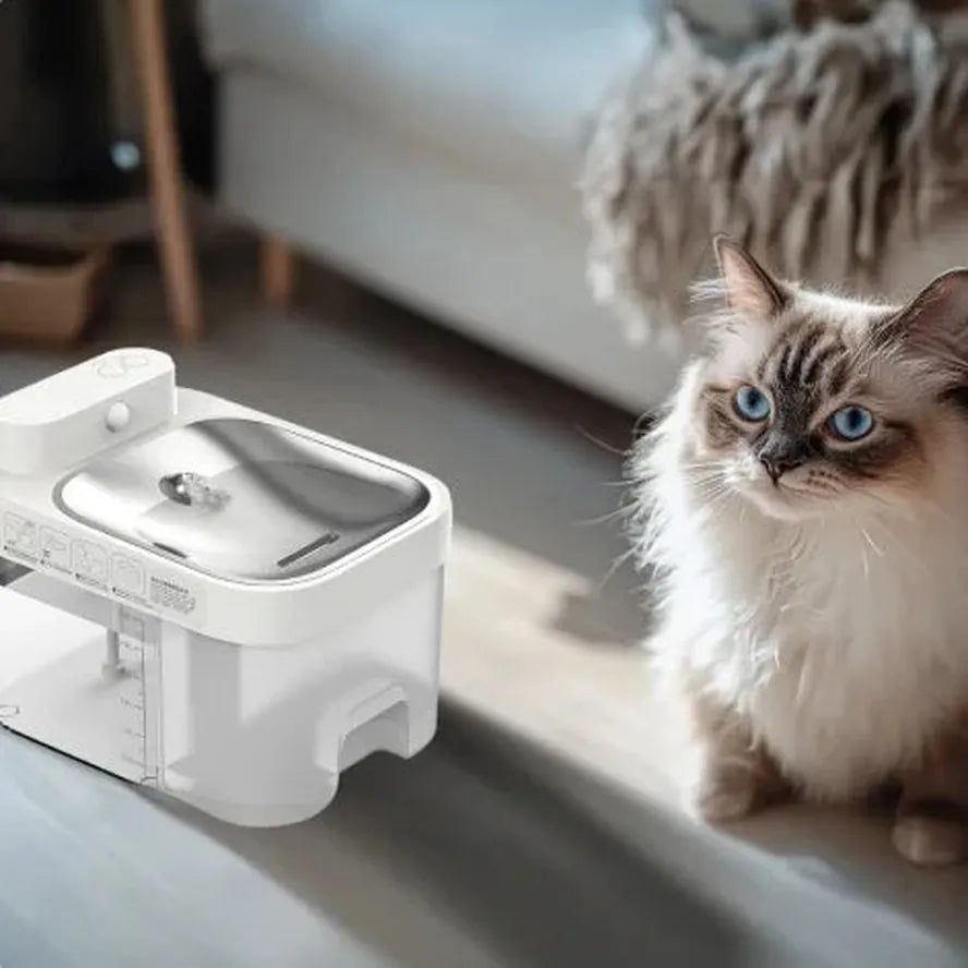KTX-463763 Smart Pet Water Fountain with APP Control and Dirty-Water Separation for Small Animals